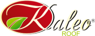 KALEO